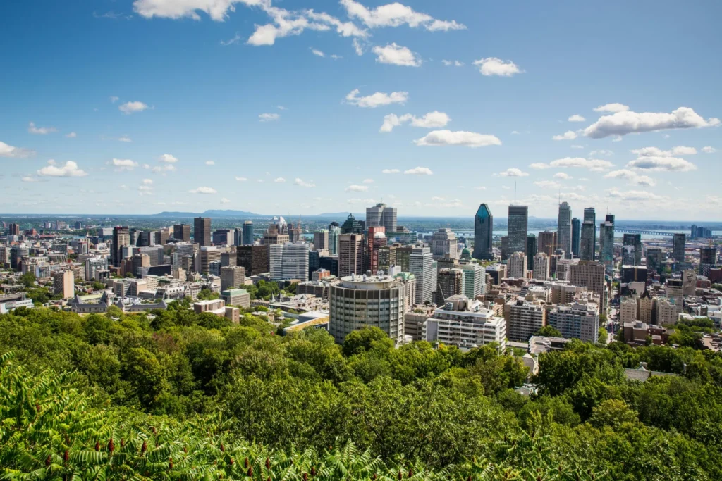 Aerial view of the Montreal skyline and downtown skyscrapers seen from a tree-covered hillside under a blue sky, illustrating complex web app development firms in Montreal